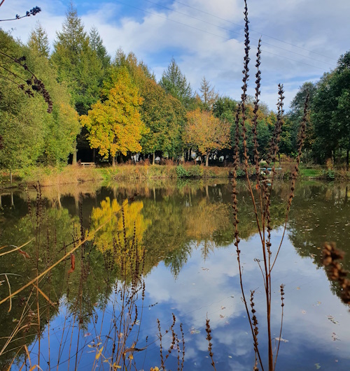 Self Catering Cottages near Little Dart and Huntacott Rivers Devon River Fishing Holidays Devon